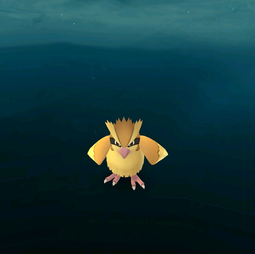 Meet your Posher, Jongil